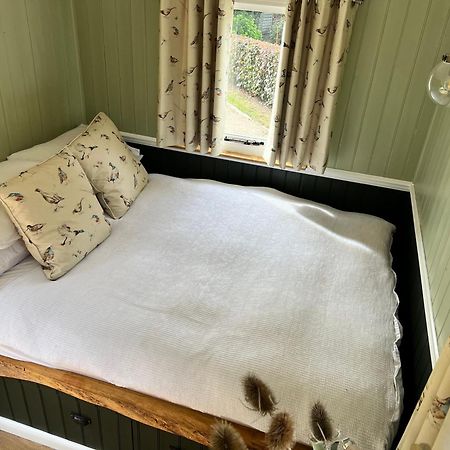 Stonehenge Campsite & Glamping Hotel Berwick St James Luaran gambar
